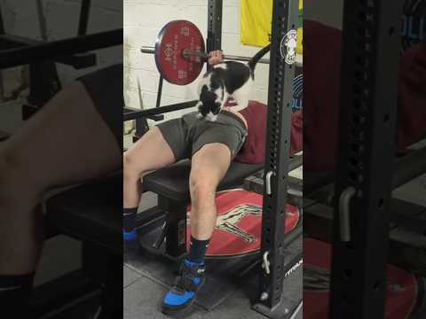 💪🏋️‍♂️🔥 #hunk #bulto #flex #gym #vpl #muscles #tiktok #posing #catshorts #shorts #gay #power #men