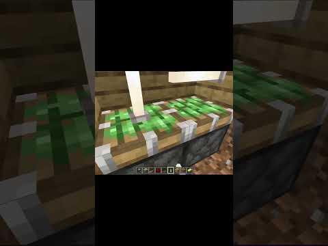 POV: Bromita al aldeano  #minecraft #memes #minecraftmemes #humor #meme #aldeanos