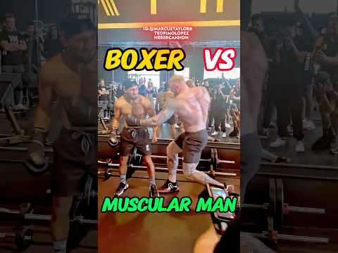 Who's better, a professional boxer or a muscle man?